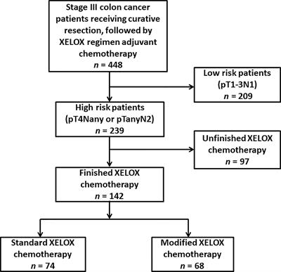 Frontiers | Feasibility Study of a Modified XELOX Adjuvant Chemotherapy